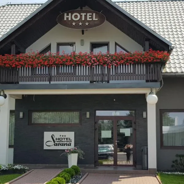 Hotel Savana，位于Lipnica Górna的酒店