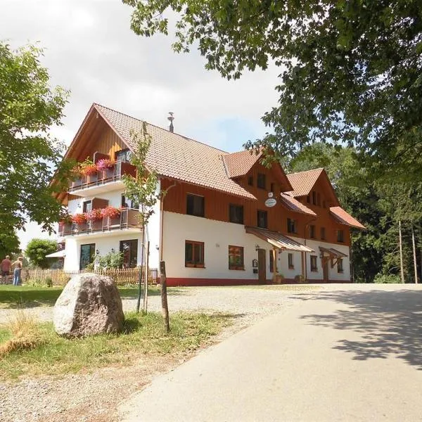 Gasthof Grüner Baum "Kongo"，位于Schlier的酒店