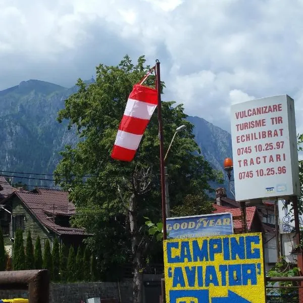 Camping Aviator Busteni, camere，位于Podu lui Neag的酒店