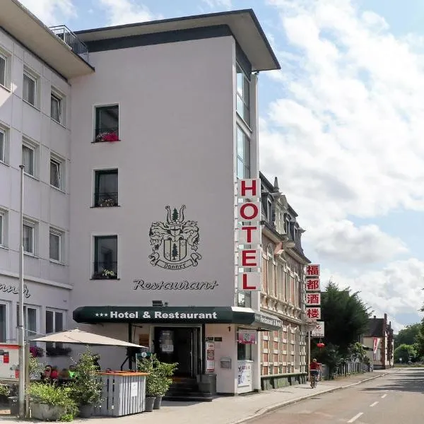 Hotel Danner，位于Schwörstadt的酒店