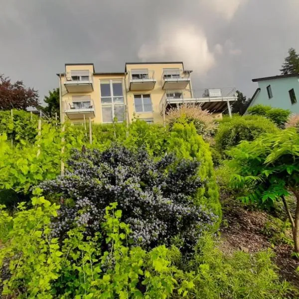 Casa la vino，位于莱温的酒店