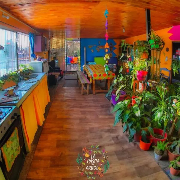 Casita del arbol Hostel，位于San Antonio的酒店