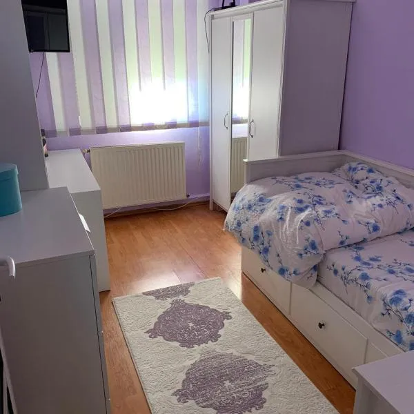 Apartament Onesti，位于Valea Seacă的酒店