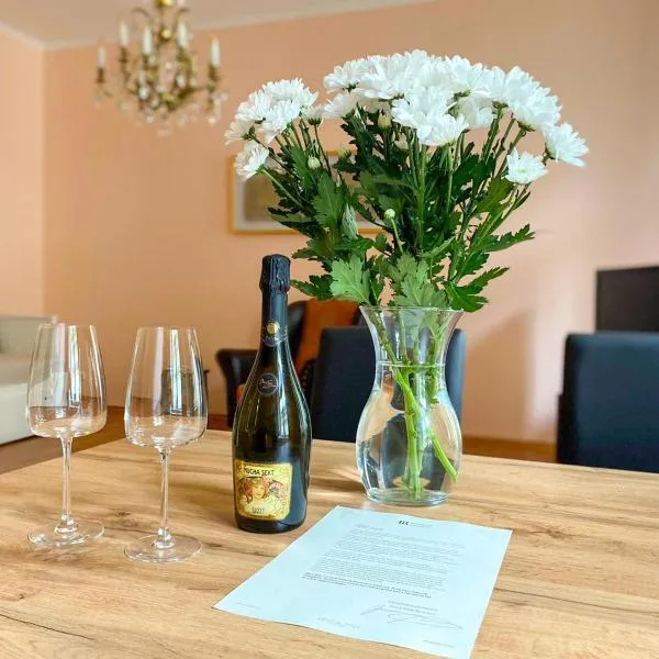 Apartmá Marie 1880，位于卡罗维发利的酒店