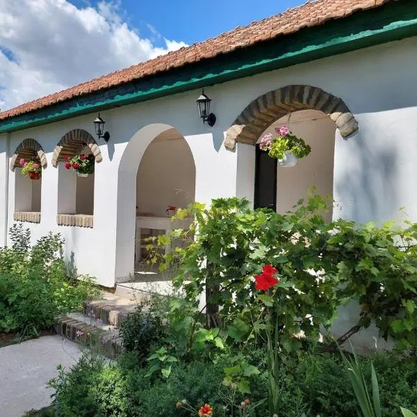 EVA HOUSE，位于Stara Moravica的酒店