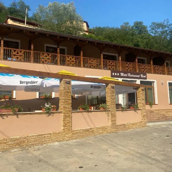 MOTEL Restaurant NICOL ARMENIS，位于Borlova的酒店