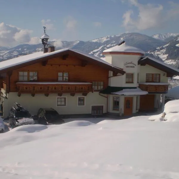 Landhaus Gruber Winter，位于阿尔班多夫的酒店