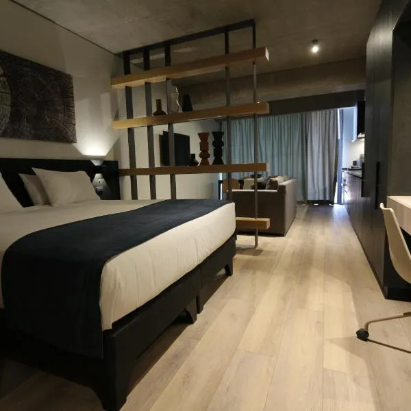 Nucleo Mayor Apart，位于圣地亚哥的酒店