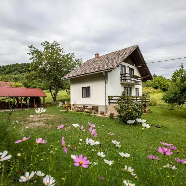 Holiday house On the riverside，位于奥古林的酒店