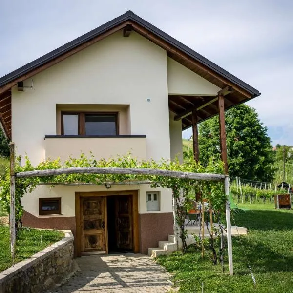 Holiday House Zlačka Gorca，位于Pristava pri Mestinju的酒店