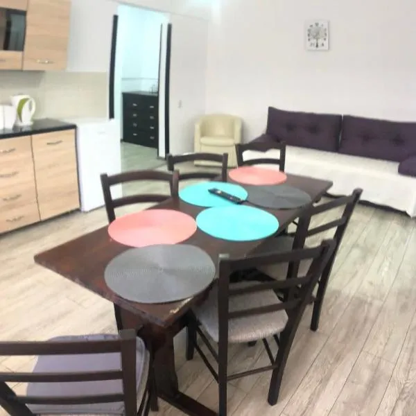 Apartament ultracentral Vatra Dornei，位于瓦特拉多尔内的酒店