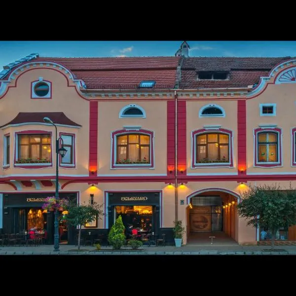 锡吉什瓦拉大道酒店，位于Viilor的酒店