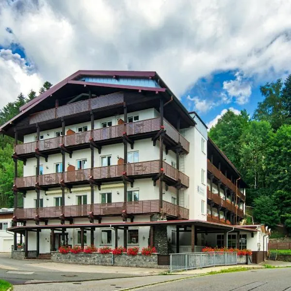 Natur- und Wanderhotel am Steinbachtal，位于Miltach的酒店