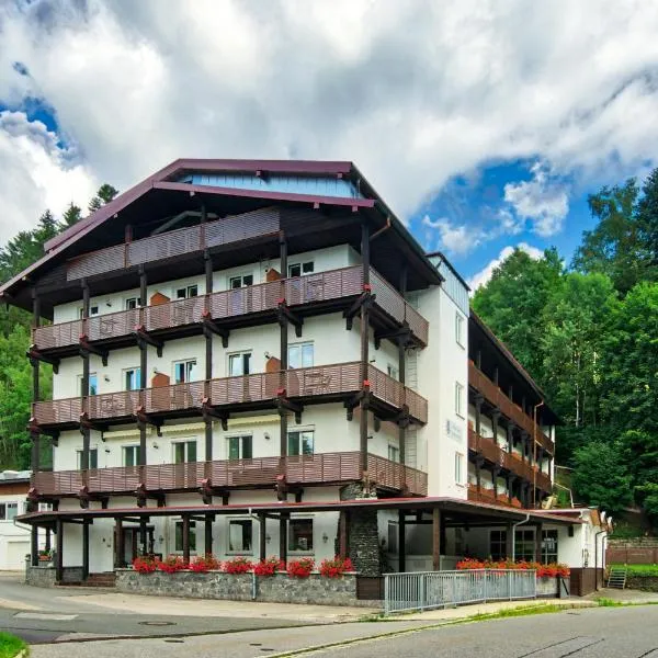 Natur- und Wanderhotel am Steinbachtal，位于Prackenbach的酒店