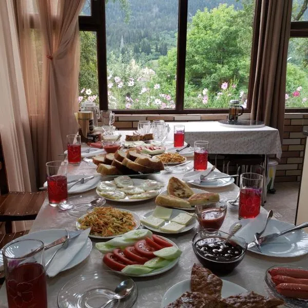 Guest House Nanu，位于梅斯蒂亚的酒店
