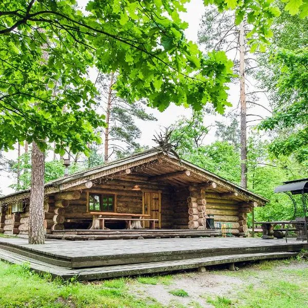 Forest hut Stariy Prud，位于Babintsy的酒店