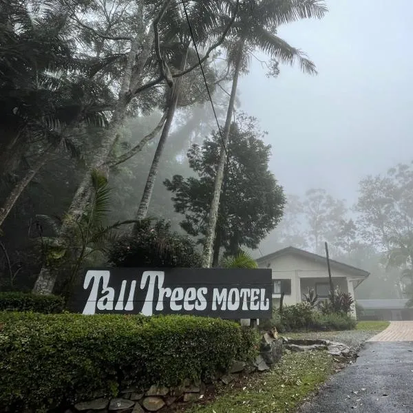 Tall Trees Motel Mountain Retreat，位于旺加瓦兰的酒店