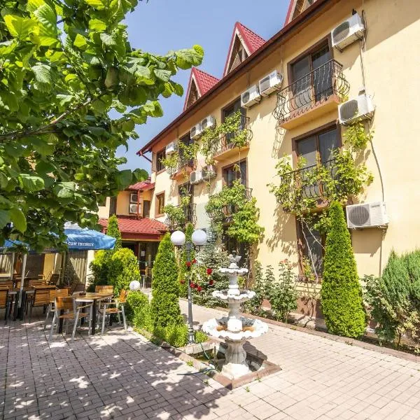 Hotel SYM，位于Poenari-Burchi的酒店