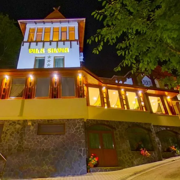 西尔维娅别墅旅馆，位于Ocna de Sus的酒店