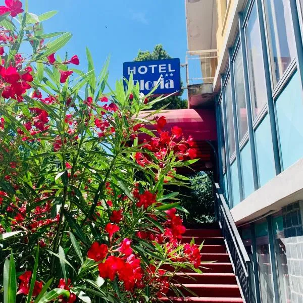 凯莱酒店，位于萨尔索马焦雷泰尔梅的酒店