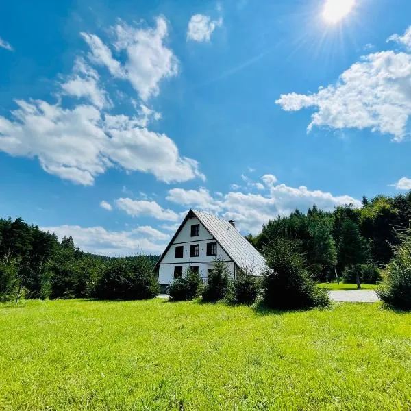 Villa Pinus Slovenský raj - Hotel Čingov dependance，位于斯米扎尼的酒店