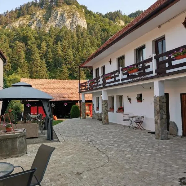 Guest House Piatra Craiului，位于锡尔内亚的酒店