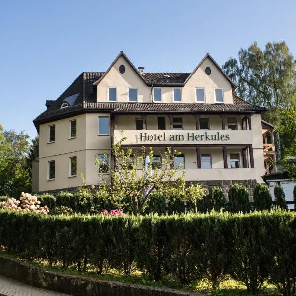 赫库莱斯酒店，位于Niedenstein的酒店