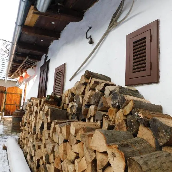 Vándor Székely Vendégház，位于瑙吉伯尔热尼的酒店