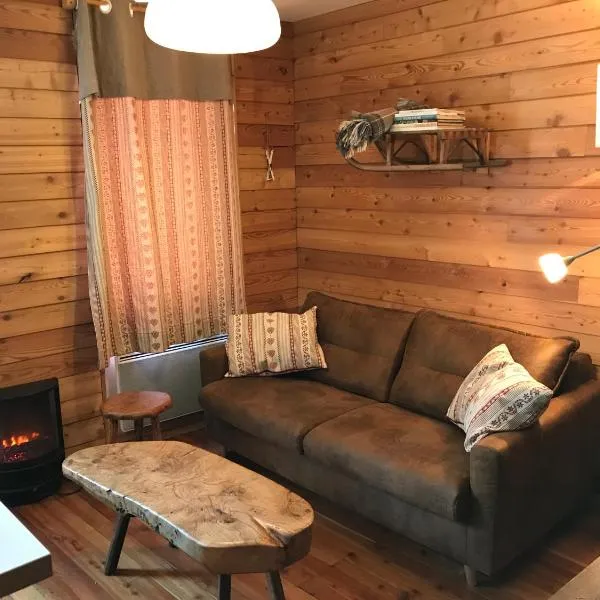 appartement style chalet centre Barcelonnette，位于巴斯洛内特的酒店