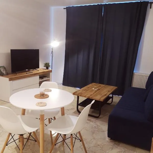 Apartament Źródełko，位于Rzezawa的酒店