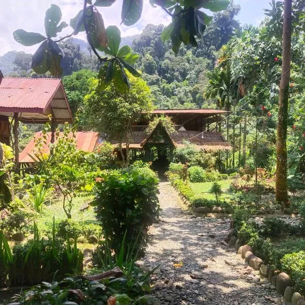 Mountain View Cottages & Villa Tangkahan，位于Tangkahan的酒店