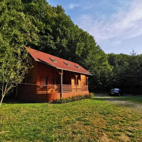 Holiday Guest House，位于弗勒希察的酒店