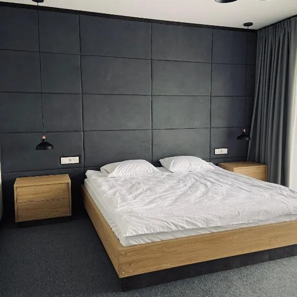 Hotel Terrazzo，位于Starunya的酒店