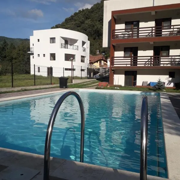 Vila Ovidiu，位于伯伊莱海尔库拉内的酒店