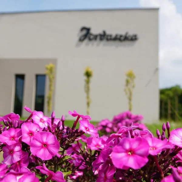 Jordaszka，位于希隆斯克地区沃济斯瓦夫的酒店