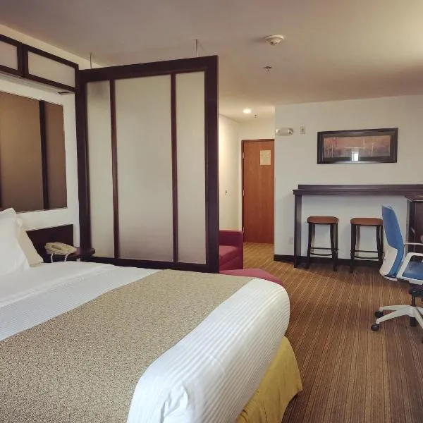 Microtel Inn and Suites by Wyndham Toluca，位于托卢卡的酒店