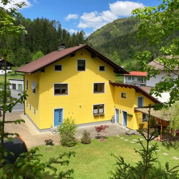 Ferienhaus Elisabeth Selbstversorger Unterkunft，位于Sankt Aegyd am Neuwalde的酒店
