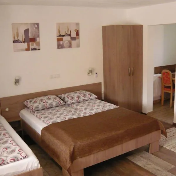 CASA DE OASPETI LIVIU，位于普拉伊德的酒店