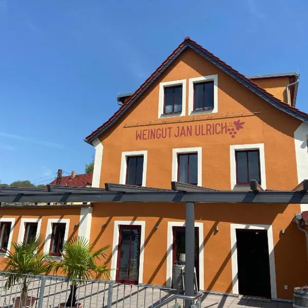 Weingut Jan Ulrich，位于Diesbar-Seusslitz的酒店