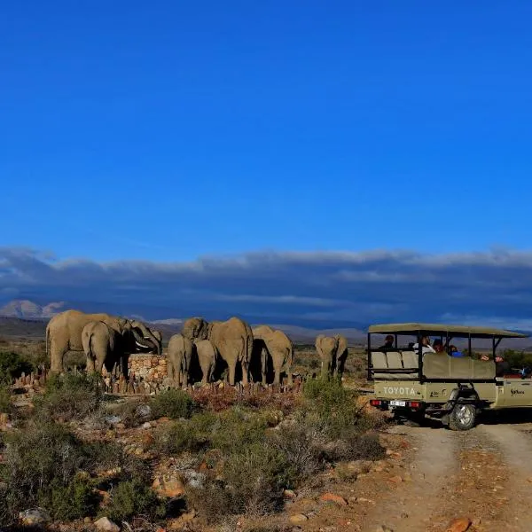 Sanbona Wildlife Reserve，位于巴里代尔的酒店