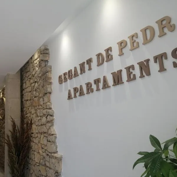 Gegant de Pedra Apartaments，位于比斯塔韦利亚德尔迈斯特拉斯戈的酒店