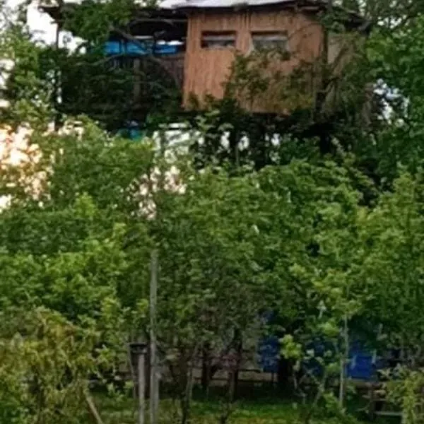 Eagle Nest，位于Nakhakhu的酒店