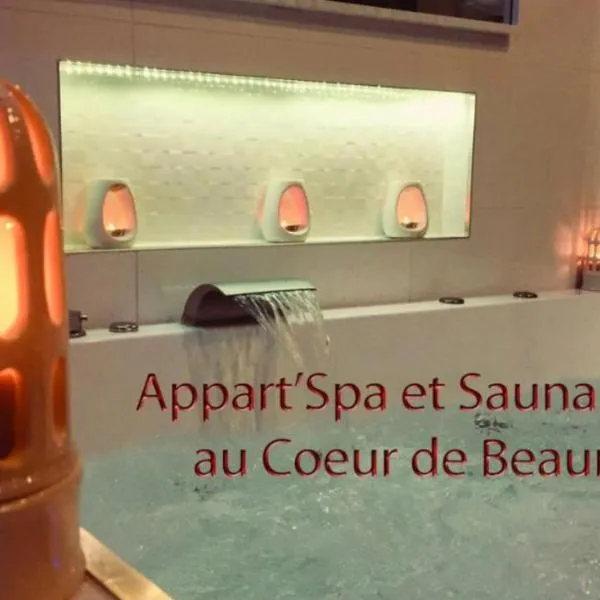 Appart' Spa et Sauna Privatif Au Cœur De Beaune，位于博讷的酒店