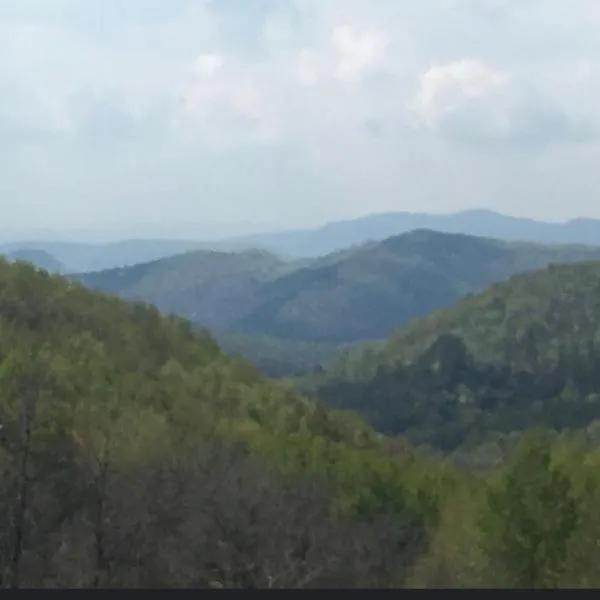 OffCamping Bobicesti - land for camping, with water source and without electricity -Doar teren pentru campare cu sursa de apa , fără electricitate ! Self check-in !，位于Bobiceşti的酒店