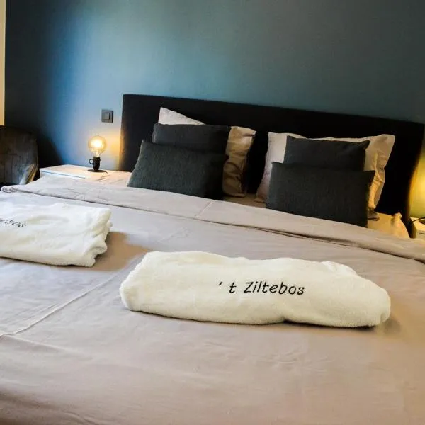 ‘t Ziltebos，位于文代讷的酒店
