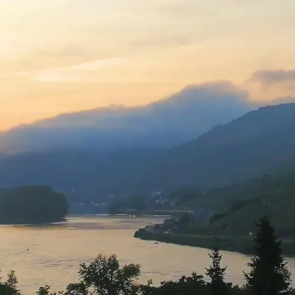 Wunderschöne Aussicht garantiert，位于Trechtingshausen的酒店