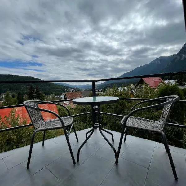 Gray Apartments Busteni，位于布什泰尼的酒店