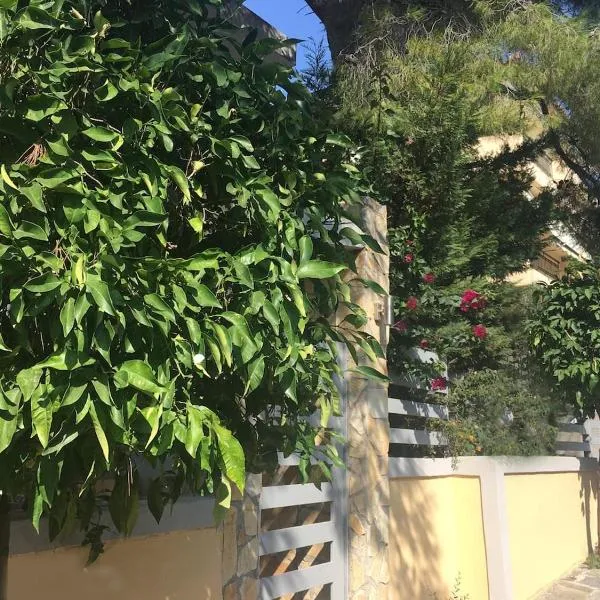 ELIAS APARTMENT，位于雅典的酒店
