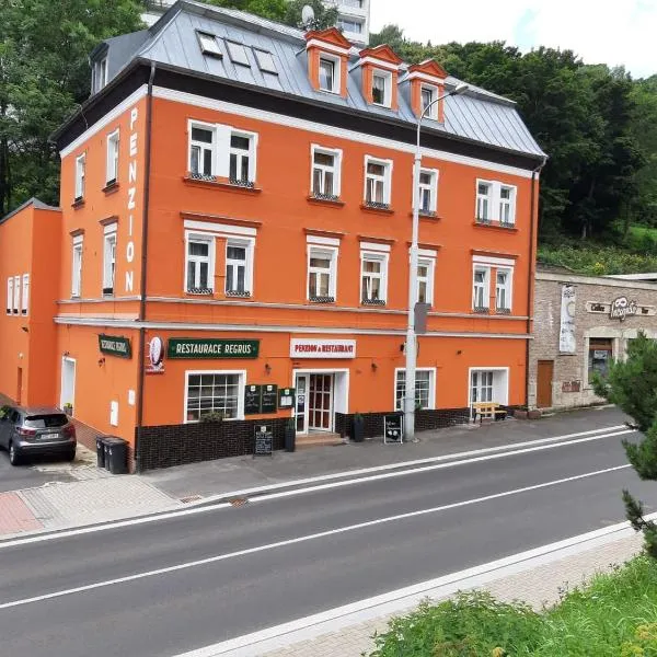 Penzion Haus Regrus，位于Nové Město的酒店