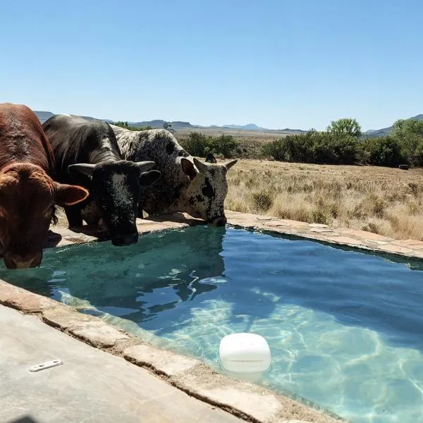 Karoo Ridge Eco-Lodges,位于Spring Valley的酒店